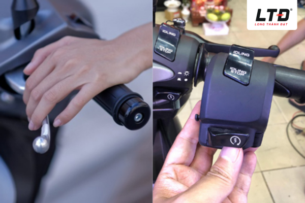 Hệ thống đề có vai trò rất quan trọng 