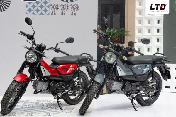 Gam màu nào cũng mang lại sự cuốn hút 