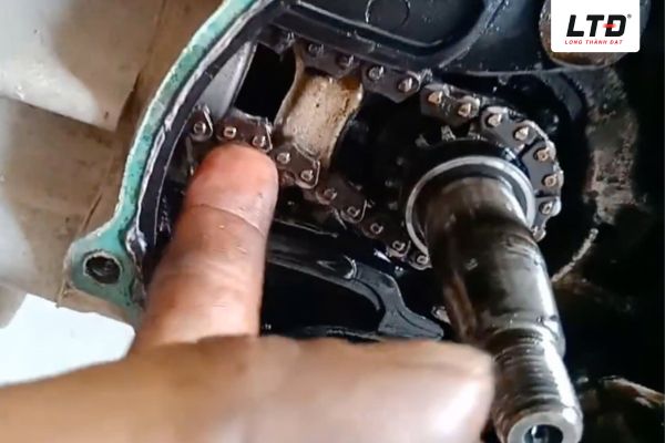 Sên cam bị trùng tạo ra tiếng hú 