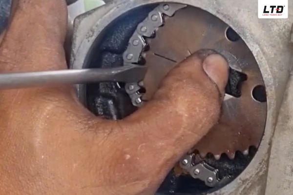 Thay mới sên cam khi cần thiết 