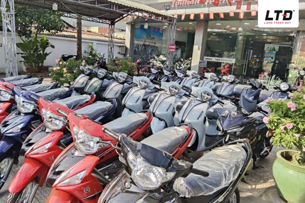 Ưu tiên xe ít tốn xăng và dễ sửa chữa, thay thế phụ tùng
