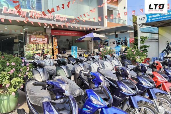 Mỗi loại có những đặc điểm riêng phù hợp với nhu cầu sử dụng khác nhau